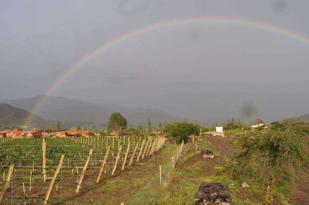Miraluna Bodega Boutique Lodge Cachí