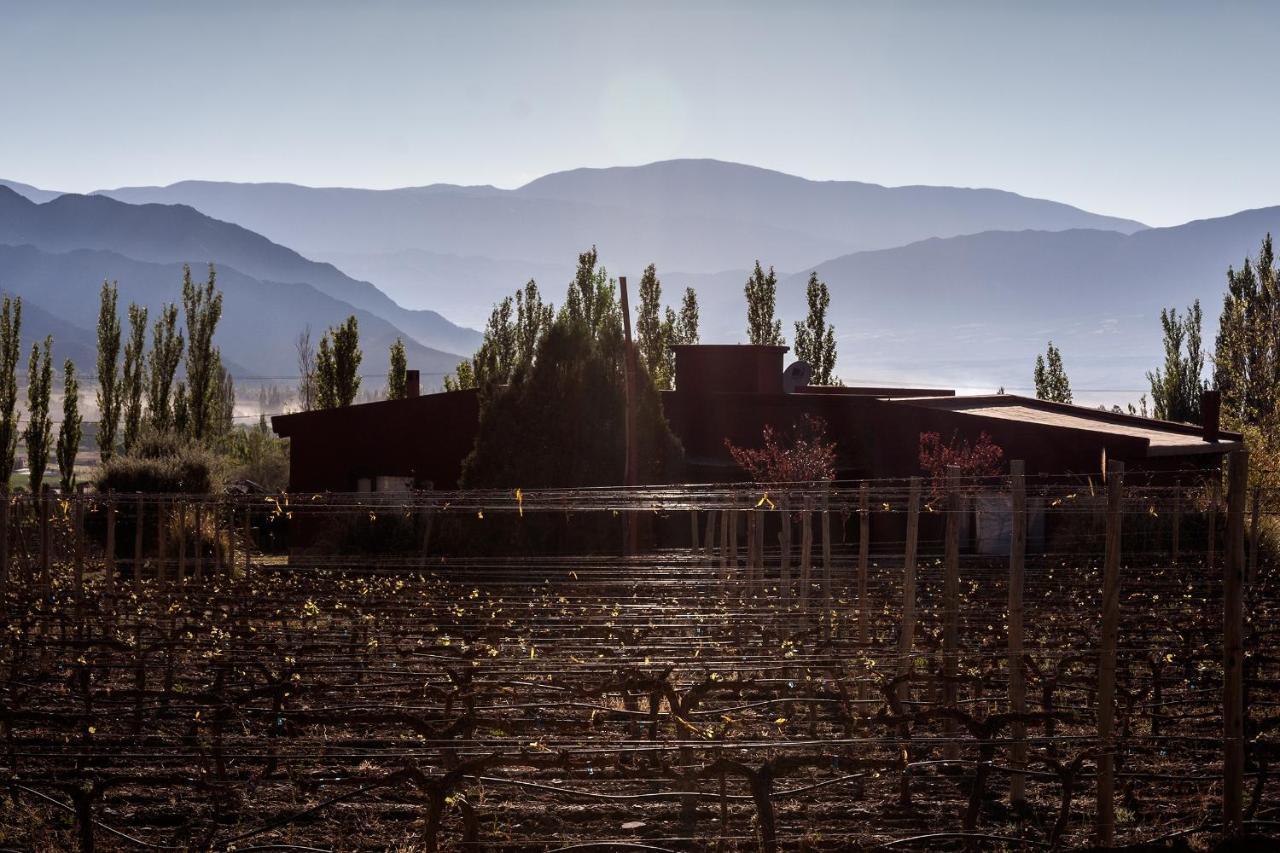 Miraluna Bodega Boutique Lodge *